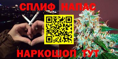 ешки Дубна